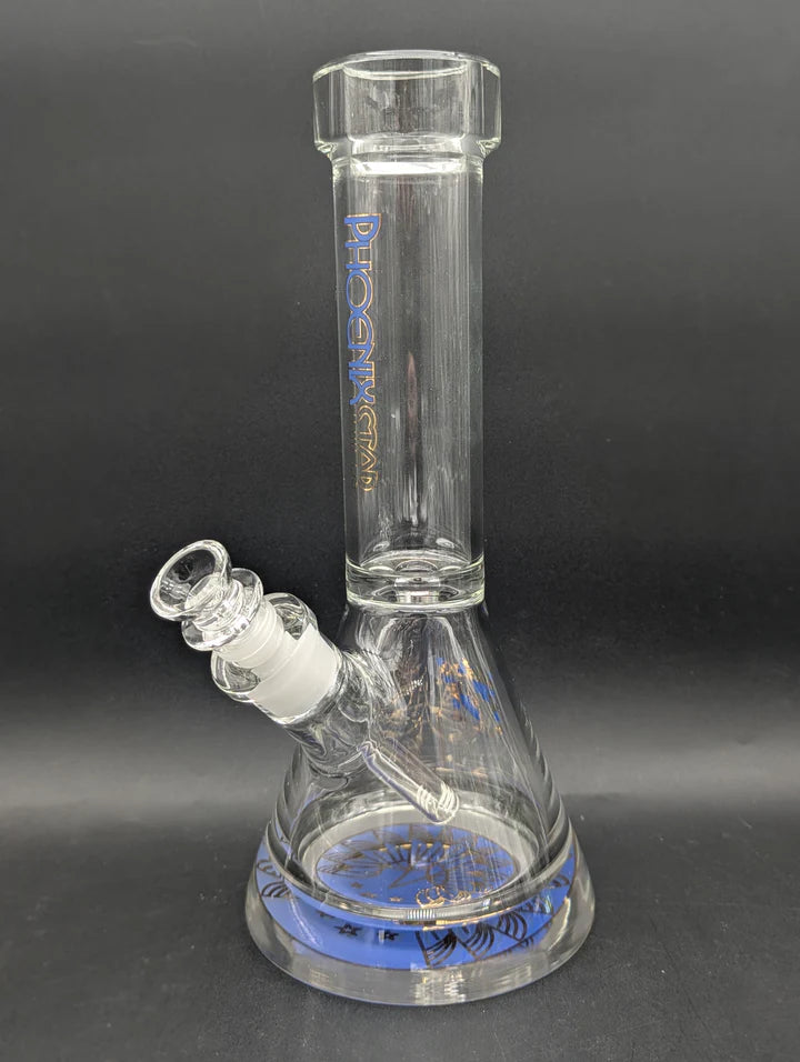 PHOENIX 12" 9MM THICK ACCENTED BEAKER