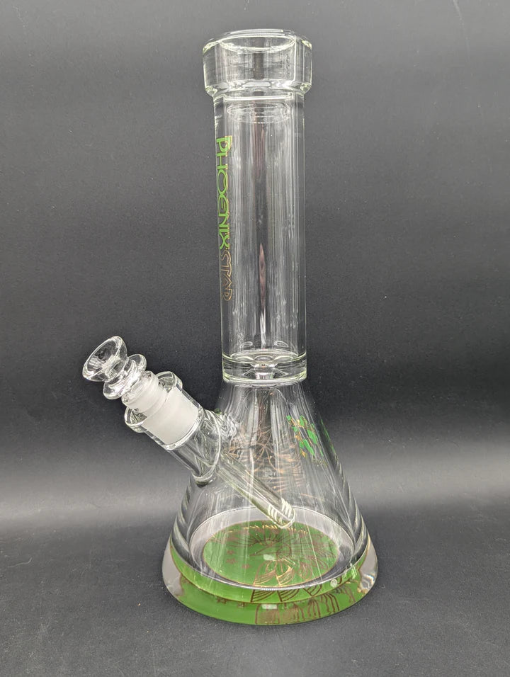 PHOENIX 12" 9MM THICK ACCENTED BEAKER